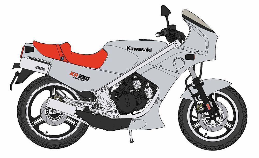 Kawasaki KR250, Silver Color von Hasegawa