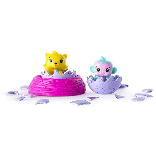 Hatchimals Spin Master 6034164 Tiere2 Unidades Multicolour von Hatchimals