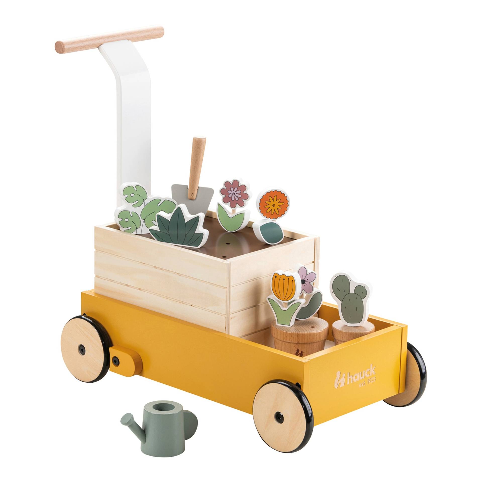 Hauck Lauflernwagen Learn to Walk Hauck Lauflernwagen Learn to Walk von Hauck