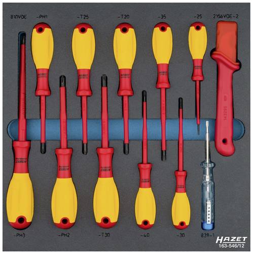 Hazet 163-546/12 Schraubendreher-Set von Hazet