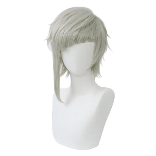 Heeyspike Bungo Stray Dogs Anime Cosplay Kostüm mit Perücke Nakajima Atsushi Cosplay Halloween Kostüm Set Anime Kleidung Karneval Party Bühnenaufführung Outfits (Typ2, F) von Heeyspike