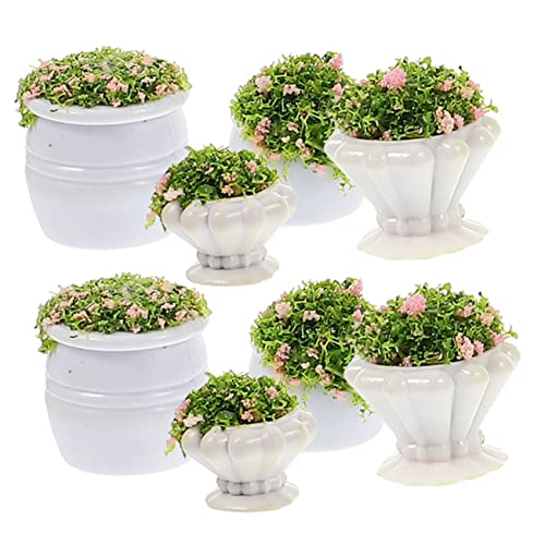 Hemobllo 8 Stück Teiliges Miniatur Blumenbeet Künstliche Pflanzen Modell Lebensecht Micro Landschaft Dekoration für DIY Puppenhaus Garten Hemobllo 8 Stück Teiliges Miniatur Blumenbeet Künstliche Pflanzen Modell Lebensecht Micro Landschaft Dekoration für DIY Puppenhaus Garten von Hemobllo