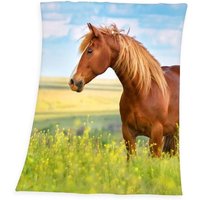 Young Collection 7524206035 - Pferd Fleece-Decke, 130x160 cm, 100% Polyester von Herding