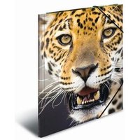 HERMA 10006222 Sammelmappe Lieblingstiere A4 PP - Leopard von Herma