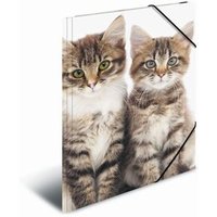 HERMA 10006228 Sammelmappe Lieblingstiere A3 PP - Katzen von Herma