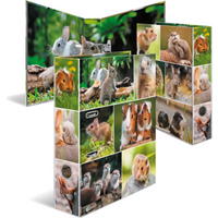 HERMA 19252 Motiv-Ordner A4 Animals Nagetiere HERMA 19252 Motiv-Ordner A4 Animals Nagetiere von Herma