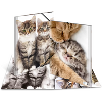 HERMA 7143 Sammelmappe A3 Katzen HERMA 7143 Sammelmappe A3 Katzen von Herma