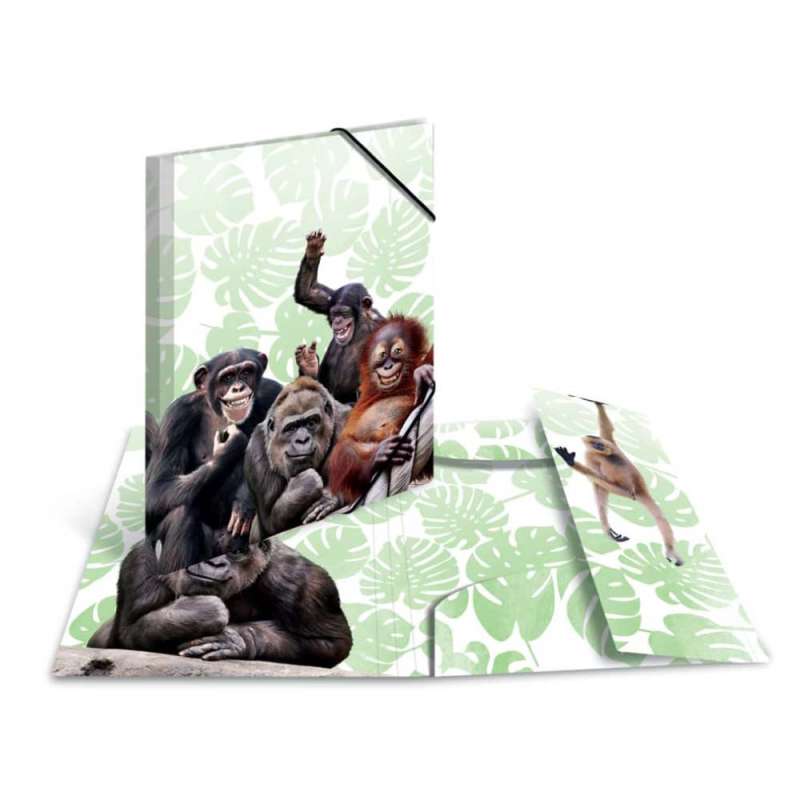 HERMA Sammelmappe A3 mit Motiven, HERMA Motive Affenbande HERMA Sammelmappe A3 mit Motiven, HERMA Motive Affenbande von Herma