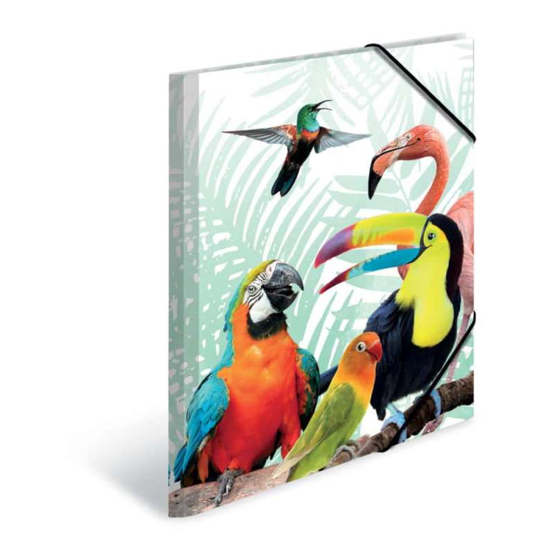 HERMA Sammelmappe A3 mit Motiven, HERMA Motive Tropenclique HERMA Sammelmappe A3 mit Motiven, HERMA Motive Tropenclique von Herma