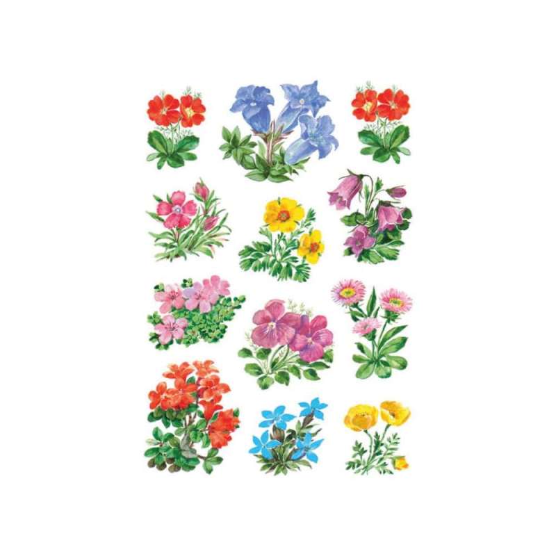 HERMA Sticker, Themenwelten Natur, HERMA Motive Gebirgsblumen HERMA Sticker, Themenwelten Natur, HERMA Motive Gebirgsblumen von Herma
