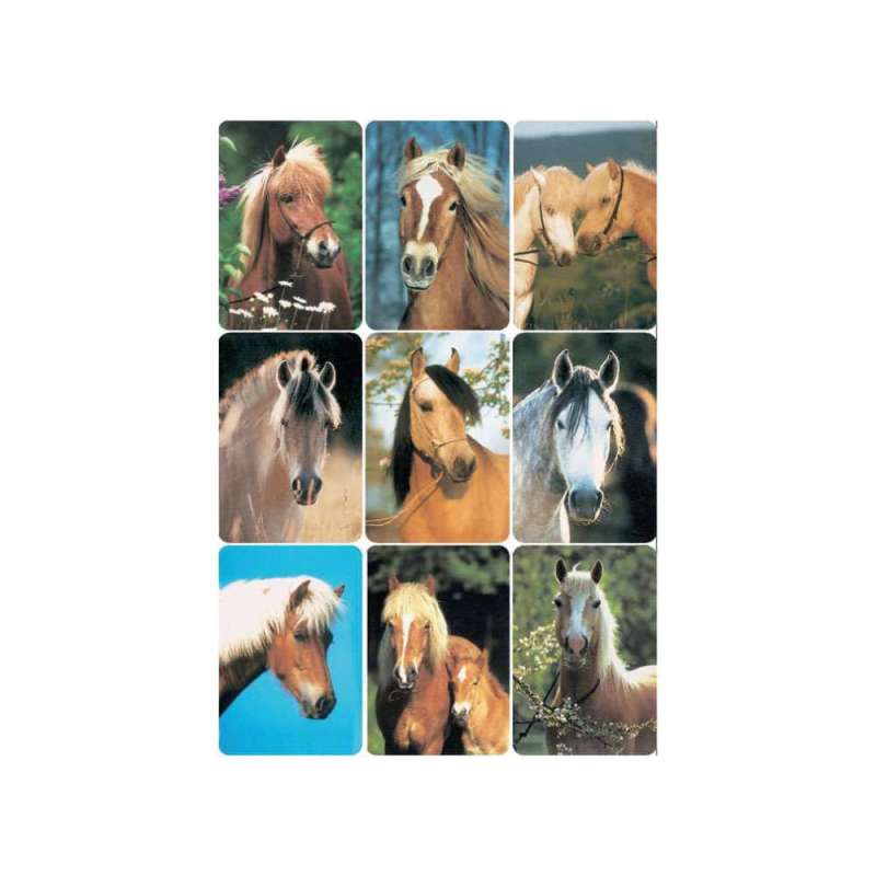 HERMA Sticker, Themenwelten Pferde, HERMA Motive Pferdekšpfe HERMA Sticker, Themenwelten Pferde, HERMA Motive Pferdekšpfe von Herma