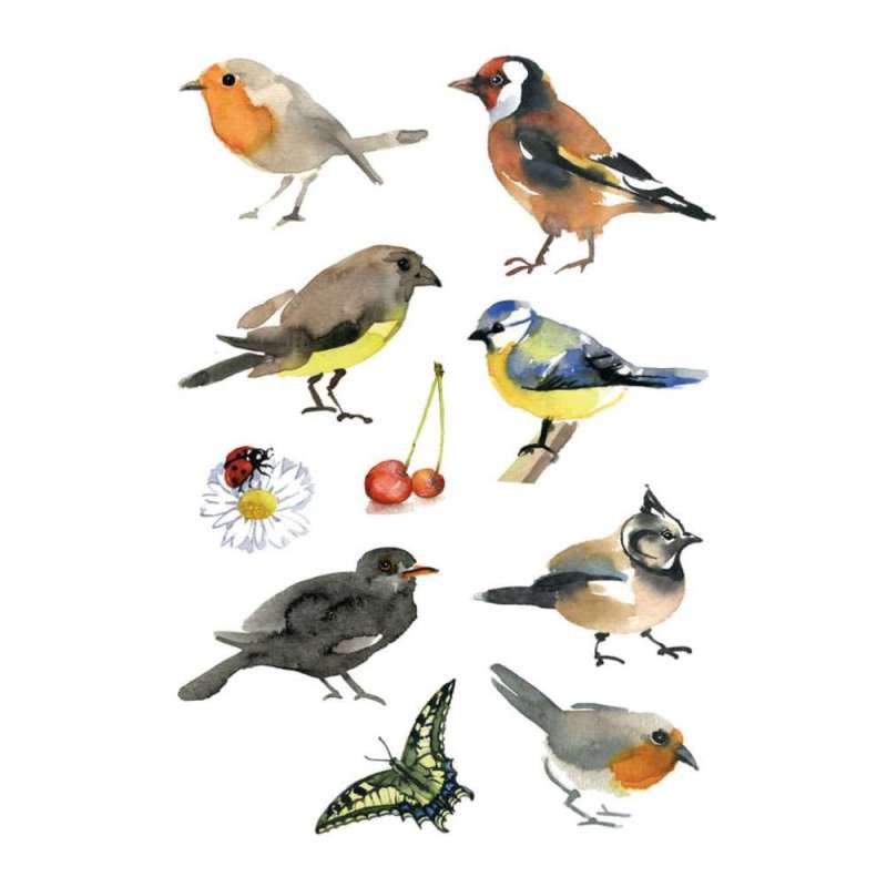 HERMA Sticker, Themenwelten Tiere, HERMA Motive Aquarell Všgel HERMA Sticker, Themenwelten Tiere, HERMA Motive Aquarell Všgel von Herma