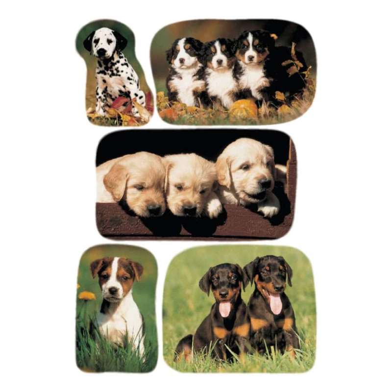 HERMA Sticker, Themenwelten Tiere, HERMA Motive Hundewelpenfotos HERMA Sticker, Themenwelten Tiere, HERMA Motive Hundewelpenfotos von Herma