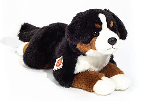 Teddy Hermann 91940 Hund Berner Sennenhund 40cm, Kuscheltier, Plüschtier mit recycelter Füllung von Hermann Teddy