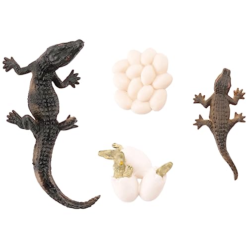 Hermosiey Simulation Alligator Tier Wachstum Lebens Zyklus Modell Kinder Kind Vorschulbildung Kognitive Biologie Spielzeug 2452 von Hermosiey