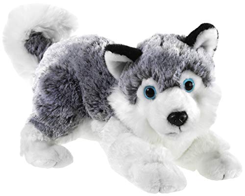 Heunec 277878 MISANIMO Husky liegende 28 cm, Mehrfarbig Heunec 277878 MISANIMO Husky liegende 28 cm, Mehrfarbig von Heunec