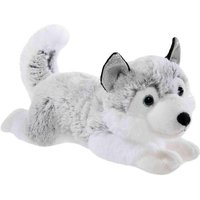 Heunec 290471 - WINTER Husky, 30 cm von Heunec