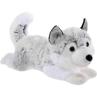 Heunec 290471 - WINTER Husky, 30 cm von Heunec