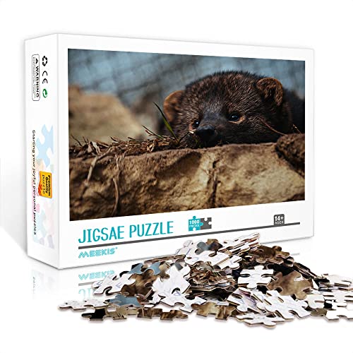 Mini Puzzle für Erwachsene 1000 Teile Marder Puzzle Set Puzzle DIY Familie Lernspielzeug (Papppuzzle 70x50cm) Puzzles für Erwachsene und Kinder von Heyazc