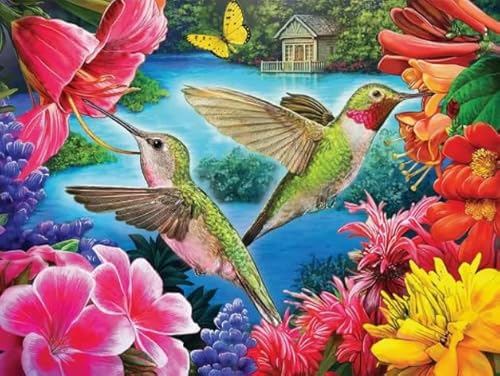 1000 Teile,Animal Hummingbirds,Colourful Abstract Puzzle,Educational Toys Posters Puzzle for Adults,Elderly Memory Games Ya336Qn von HfmQuisutron