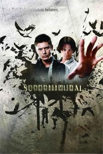 HfmQuisutron Jigsaw Puzzle 1000 Stück Movie Ackles Poster Für Puzzle Home Stressabbau Spiel Xy257Tk von HfmQuisutron