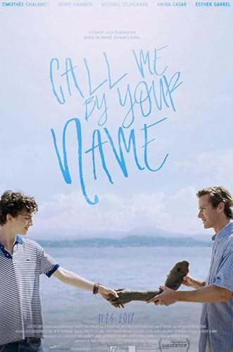 HfmQuisutron Jigsaw Puzzle 1000 Teile Liebesfilm Call Me by Your Name Poster Holz Buntes Geschicklichkeitsspiel Für Die Ganze Familie Erwachsene Vf318Za von HfmQuisutron