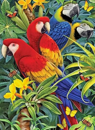 HfmQuisutron Jigsaw Puzzle 1000 Teile Ölgemälde Tier Vogel Poster Farbe Fähigkeit Spiel Für Die Ganze Familie Erwachsene Zq14Wk von HfmQuisutron