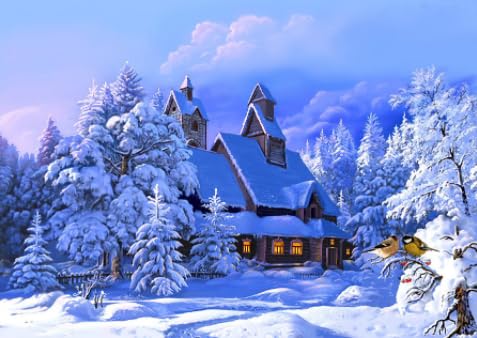 Snow House Scenery Art Posters,1000 Teile Puzzles,Memory Cognition Games,Adult Family Stress Relief Puzzle Toys,Unregelmäßige Puzzle Teile Zt10Qa von HfmQuisutron