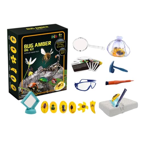HgbfMij Fly Amber Dig Kit,Fly Dig Set für Kinder - Bernstein-Ausgrabungs-Wissenschaftsspielzeug | Lernspielzeug, 6 Fliegenproben-Wissenschaftssets, künstliches Fliegen-STEM-Spielzeug, Grabset, von HgbfMij