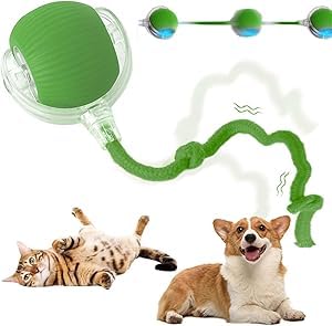 HiCWX Interaktiver rollender Katzen-Hundeball, 2025 verbesserter automatischer Katzenball, Hundespielzeug, interaktives Katzenspielzeug, automatisches Katzenspielzeug, selbstbewegliches von HiCWX