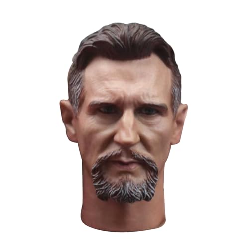 HiPlay, Ninja Master: Liam Neeson Custom Modified Head Sculpt, 1/6 Scale for 12 Inch Collectible Figure LMNS von HiPlay