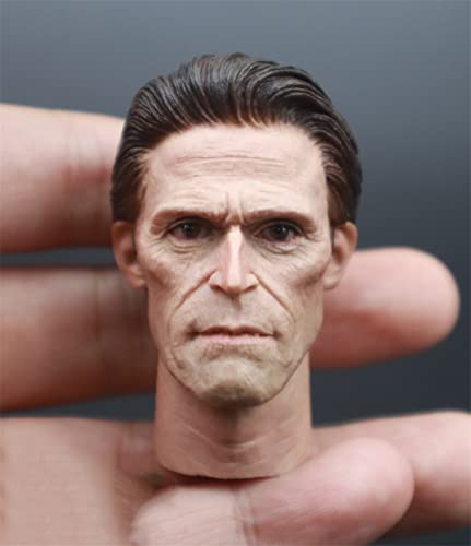 HiPlay 1/6 Scale Male Figure Head Sculpt, Handsome Men Tough Guy, Doll Head for 12" Action Figure Phicen, TBLeague HS110(D) von HiPlay