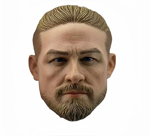 HiPlay 1/6 Scale Male Figure Head Sculpt, Handsome Men Tough Guy, Doll Head for 12 inch Action Figure HS025 (A) von HiPlay