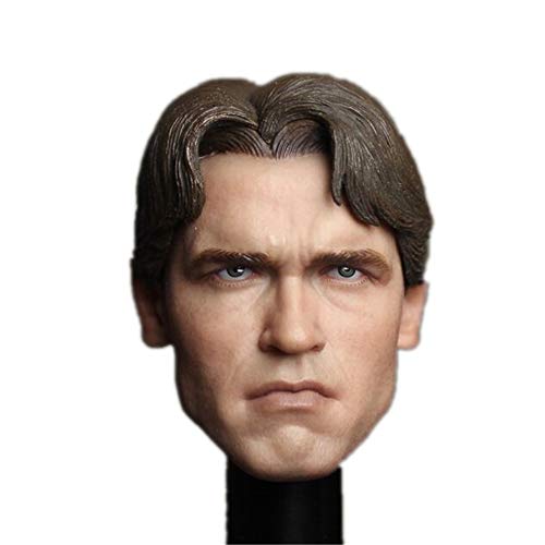 HiPlay 1/6 Scale Male Figure Head Sculpt, Handsome Men Tough Guy, Doll Head for 12 inch Action Figure TBLeague/Phicen HS015 (C) von HiPlay