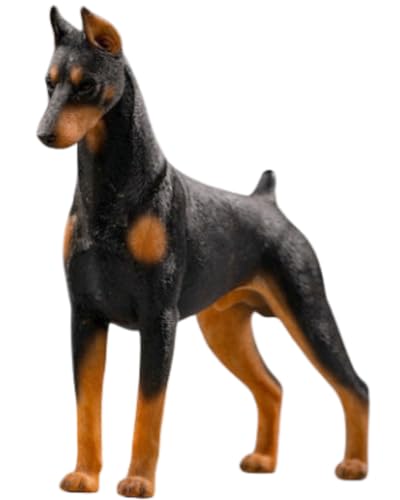 HiPlay JXK Collectible Dog Figure: Dobermann, Expertly Hand-Painted, Lifelike, Safe Resin, 1:12 Scale Miniature Animal Figurine JXK022A Black von HiPlay