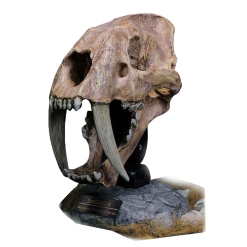 HiPlay Star ACE Toys Smilodon Skull 22CM Tall SA5040 Wonder Wild Series Figure Collectible Statue von HiPlay