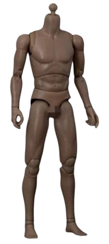 HiPlay WorldBox 1:6 Scale Male Action Figure Body AT011 von HiPlay