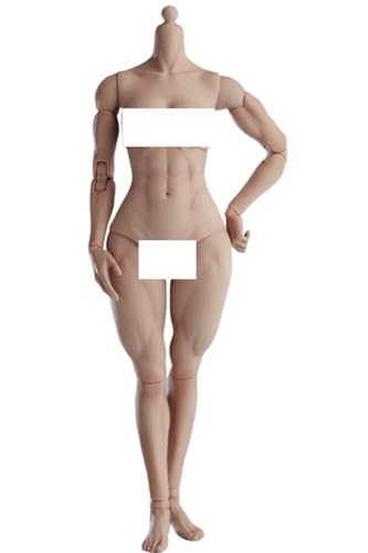 HiPlay Worldbox 1:6 Scale Female Action Figure Body -Muscle Shape, Medium Bust, Wheat Skin AT206BQMS HiPlay Worldbox 1:6 Scale Female Action Figure Body -Muscle Shape, Medium Bust, Wheat Skin AT206BQMS von HiPlay