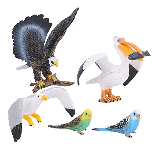 Vogelfiguren-Set, Lernspielzeug für, Handbemalte Kunststoffvögel, für Heimdekoration, Schulprojekte und Geschichtenerzählen (5-Vogel-Set) von Hiraith