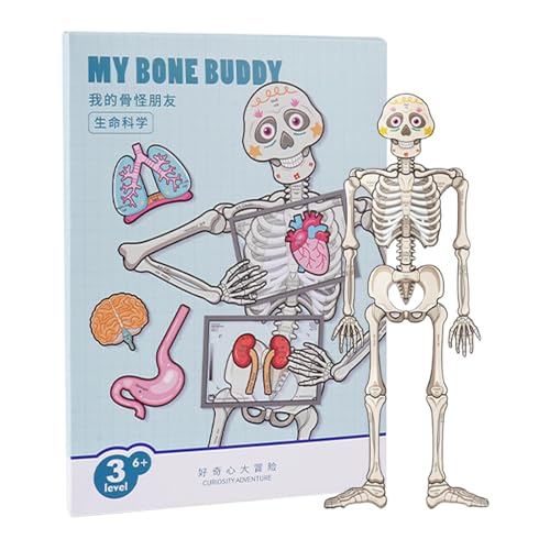 Bone Puzzle Toys, Organ Human Match, Body Parts Organs Muscles Skeleton, Human Body Puzzle Anatomy Play Set, Human Body Model, Easy to Use, Portable for Science Students von Hjatirace