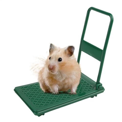 Lustiges Hamsterkäfig-Zubehör, Hamsterwagen-Spielzeug, Kleintierspielzeug, Hamsterspielzeug, Foto-Requisiten, Hamster-Anreicherungsspielzeug, Wagen, Chinchilla-Bett, Haustierspielzeug, einfach von Hjatirace