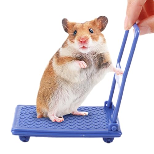 Lustiges Hamsterkäfig-Zubehör, Hamsterwagen-Spielzeug, Kleintierspielzeug, Hamsterspielzeug, Foto-Requisiten, Hamster-Anreicherungsspielzeug, Wagen, Chinchilla-Bett, Haustierspielzeug, einfach von Hjatirace