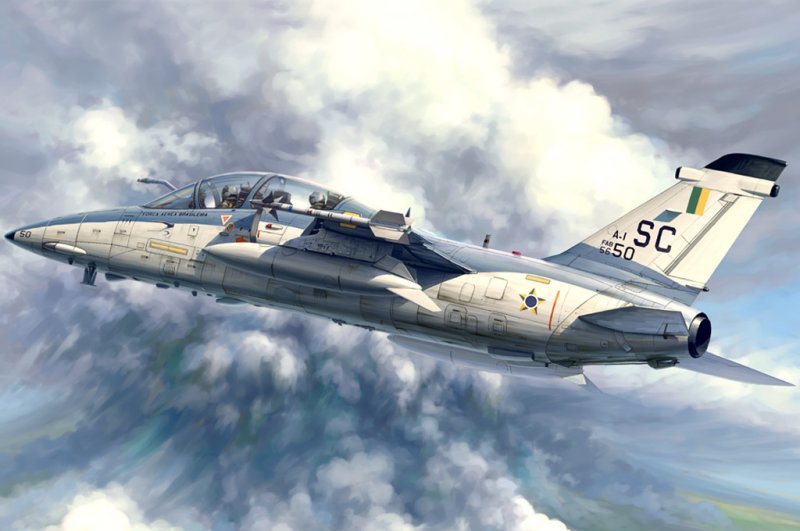 A-1B Trainer von HobbyBoss