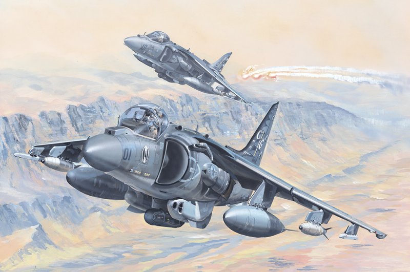 AV-8B Harrier II von HobbyBoss