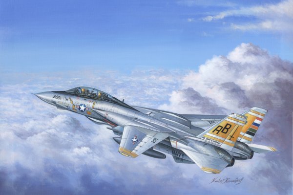 F-14A Tomcat von HobbyBoss