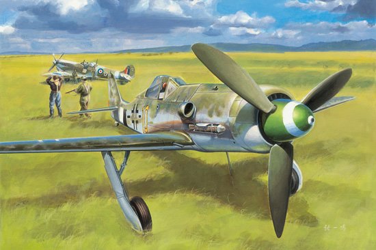 Focke-Wulf FW 190 D-13 von HobbyBoss