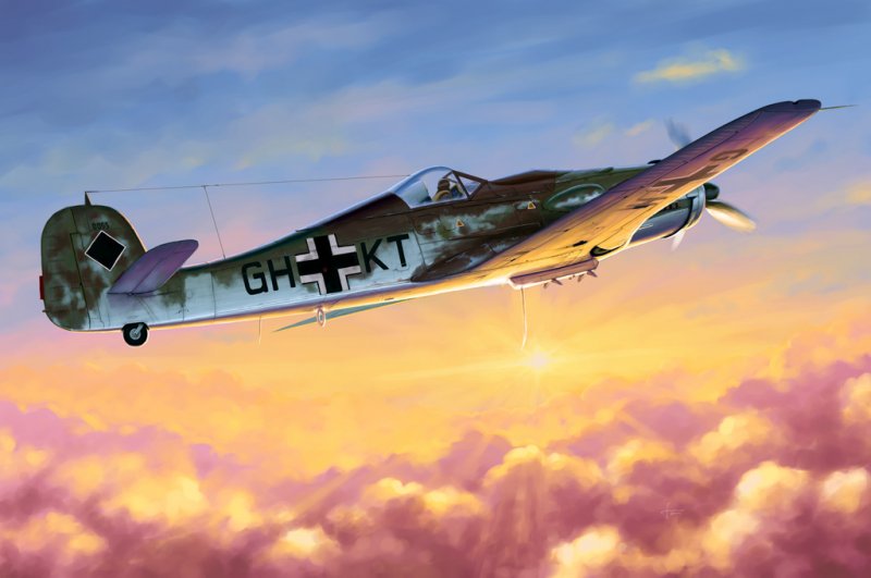 Focke-Wulf Fw 190 D-10 von HobbyBoss