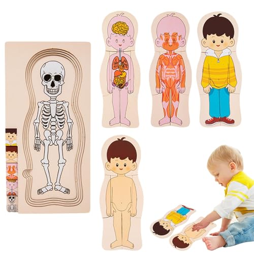 Hobngmuc Puzzle mit Körperteilen aus Holz, Holzpuzzle mit menschlichen Körpern,Lern-Anatomie-Puzzle-Skelett-Spielzeug - Interaktives Puzzle für den menschlichen Körper, Lern-Anatomie-Puzzle, von Hobngmuc