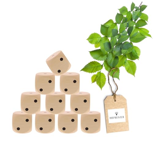 10x HOFMEISTER® Würfel Augenzahlen Holz 4 cm - Holzwürfel Kinder Erwachsene Spielen Brettspiel Party Spieleabend Partyspiel, 100% Naturprodukt unbehandelt aus heimischem Buchenholz, 4 x 4 cm von Hofmeister Holzwaren