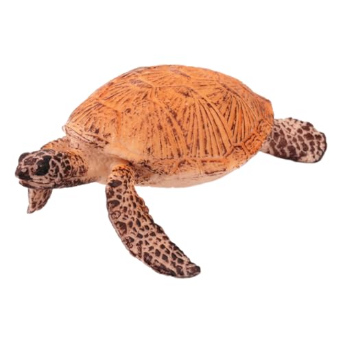 Hohopeti 1Stk Mini-Schildkröten-Spielzeug Lernspielzeug für Tiere lebensechtes Schildkrötenspielzeug Meerestierfiguren tierfiguren für Kinder Spielzeug für Kinder Schildkröten Dekorationen von Hohopeti